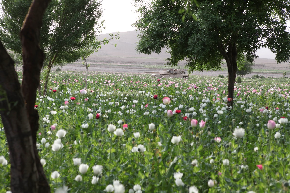 Afghan heroin policy