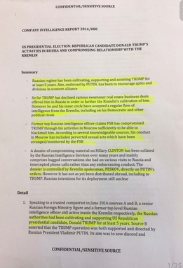 Christopher Steele Dossier
