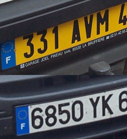 Flock cameras