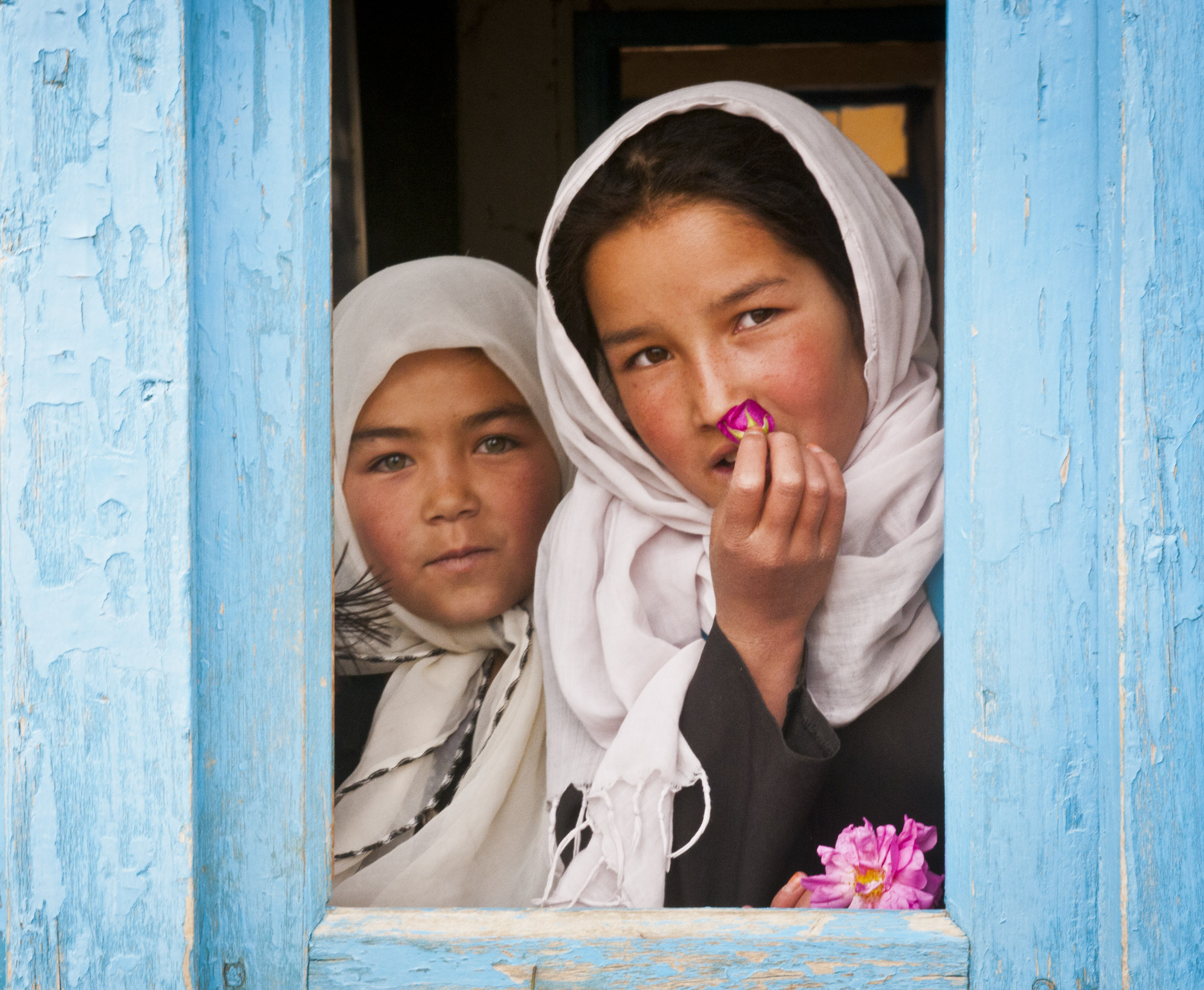 Two Hazara girls in white headscarves framed by a peeling blue wooden window, the younger holding a pink rose petal to her lips, 2010