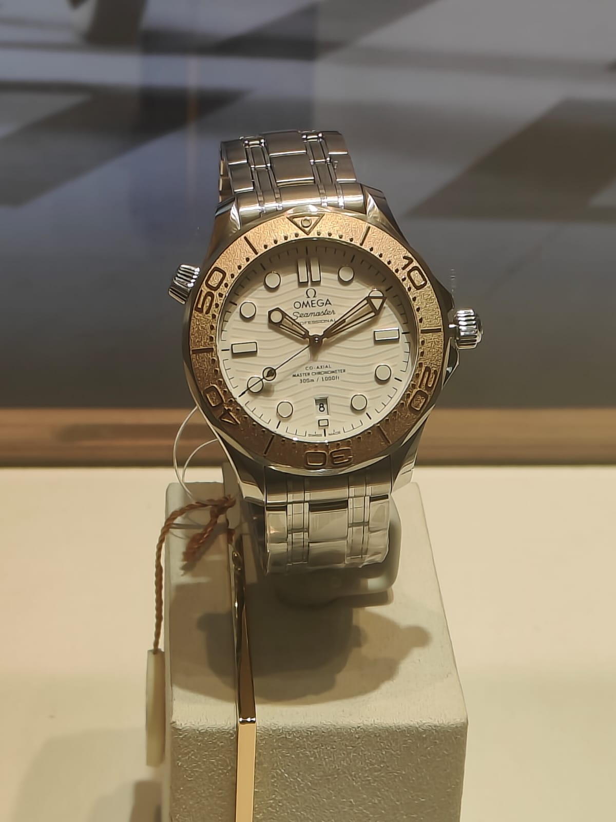 The Omega Seamaster 120