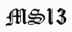 The MS-13 name rendered in gothic script, 2013