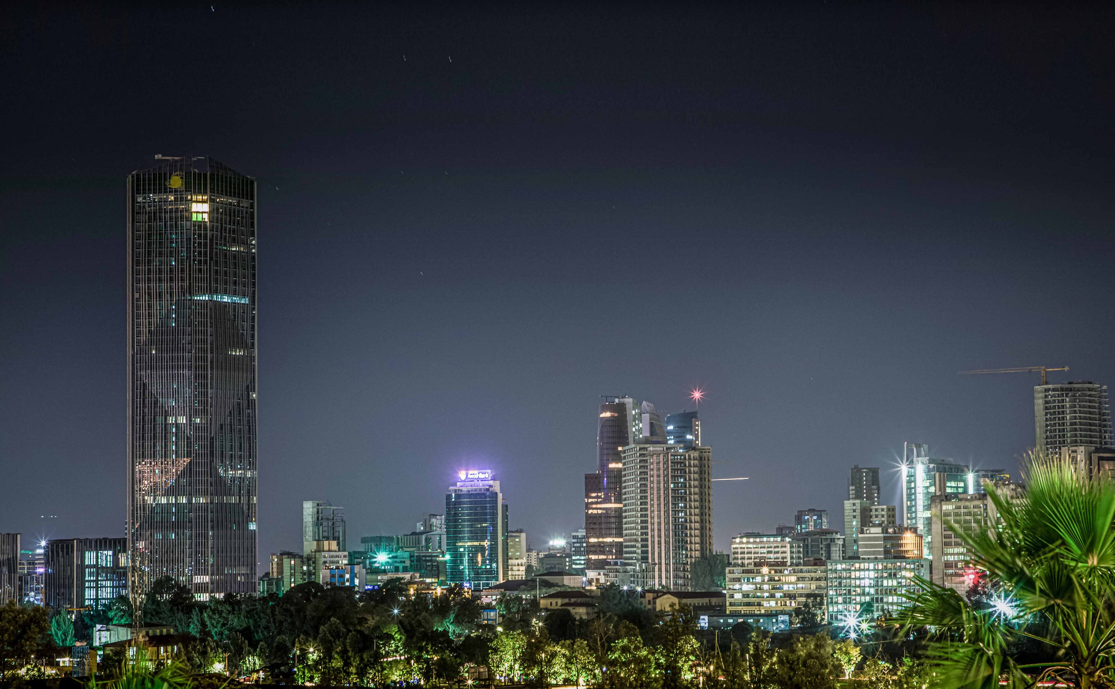 The night skyline of central Addis Ababa, a lone glass tower rising above lower office blocks with palm fronds in the foreground, 2020