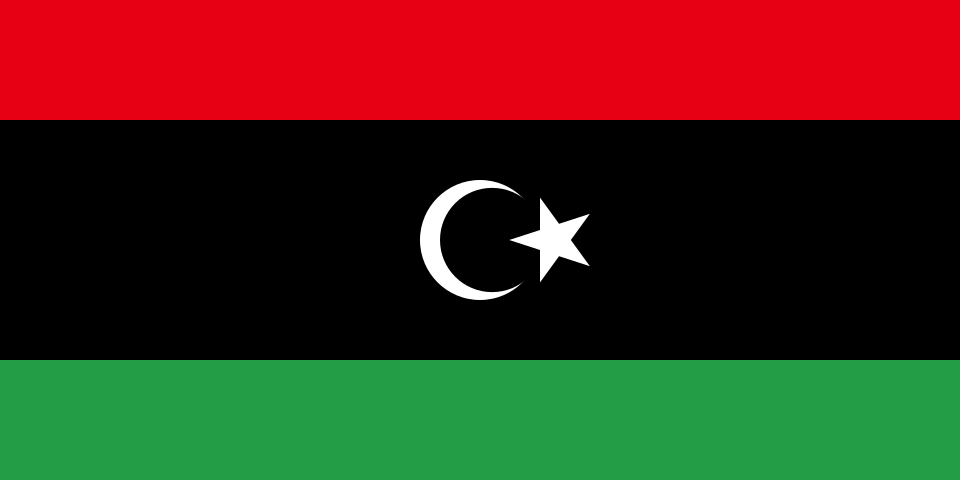 The Libyan constitution unveiling