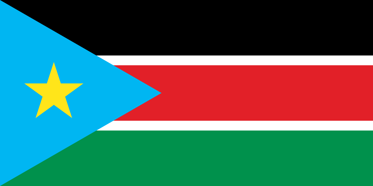 The flag of South Sudan, horizontal black, red and green bands with a blue hoist triangle bearing a yellow star, 2011