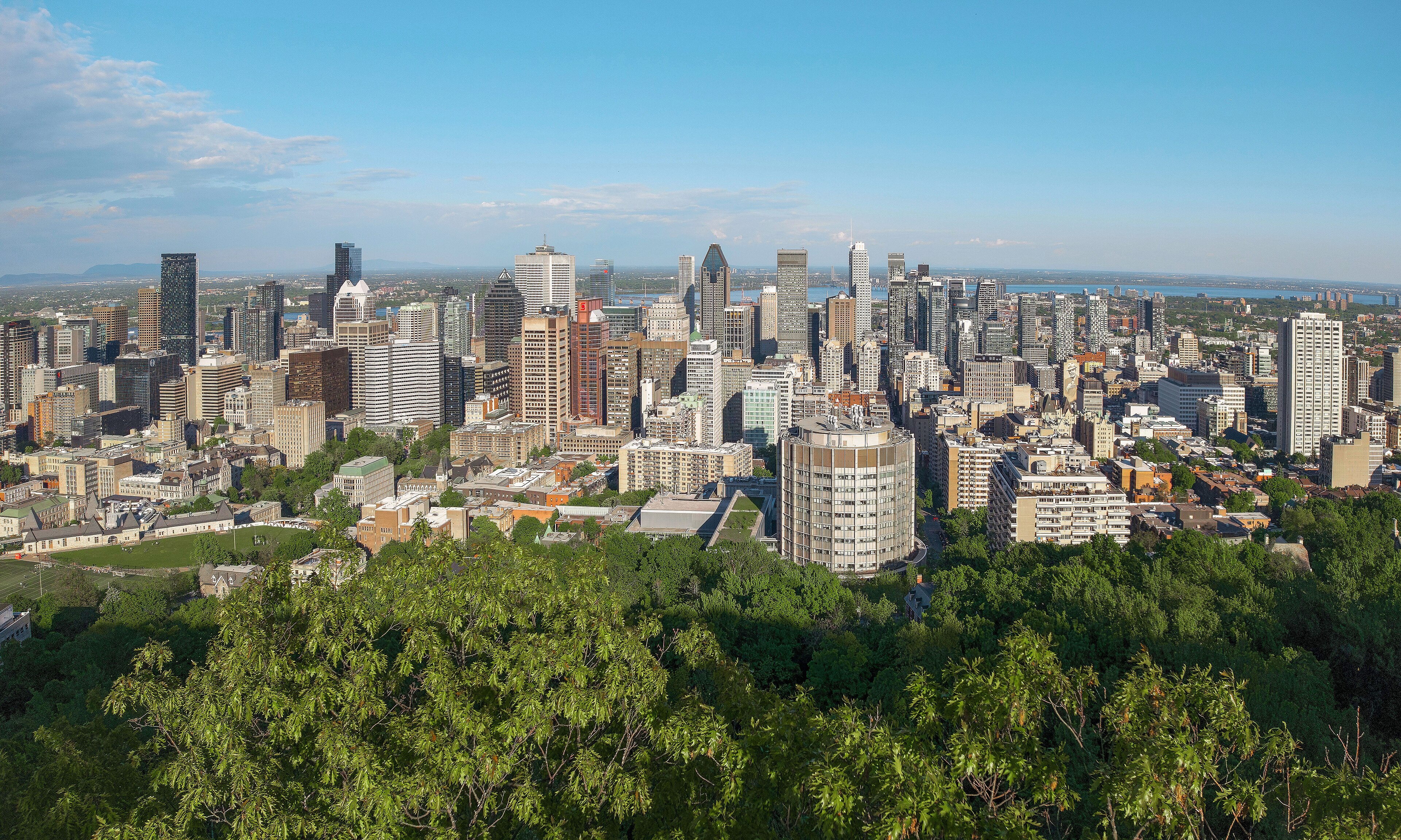 The downtown Montreal skyline from Mount Royal, glass and stone towers rising above a summer green tree line with the Saint Lawrence beyond, 2015